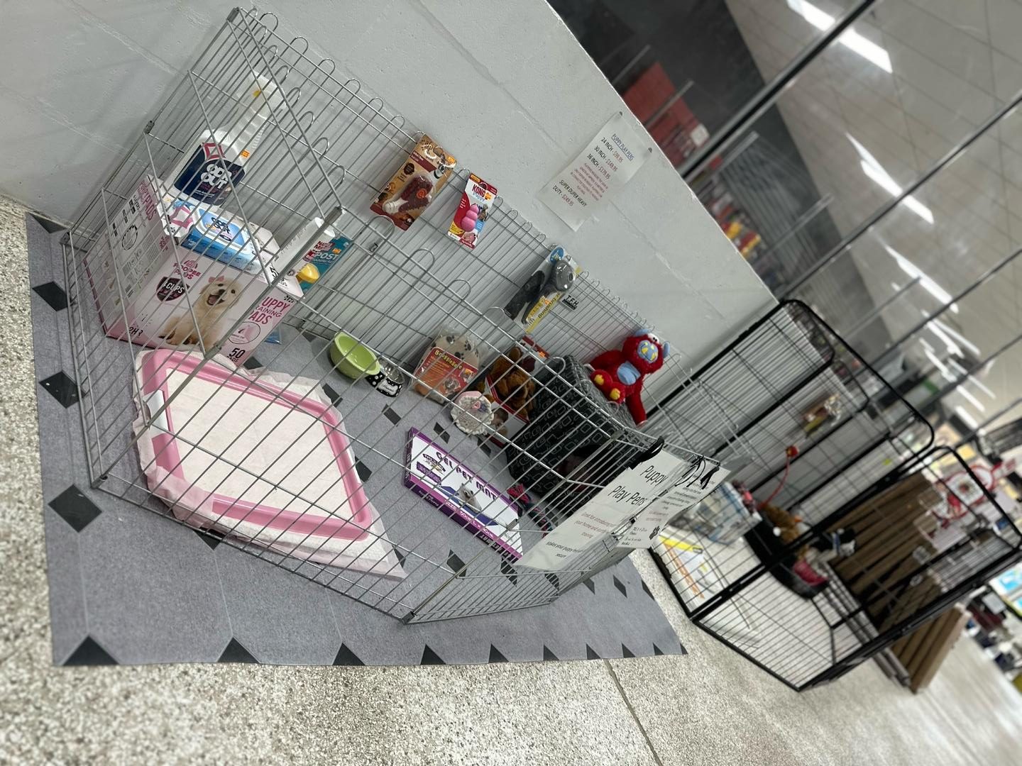 Puppy Play Pen Setup. Essential for Correctly Training a New Puppy