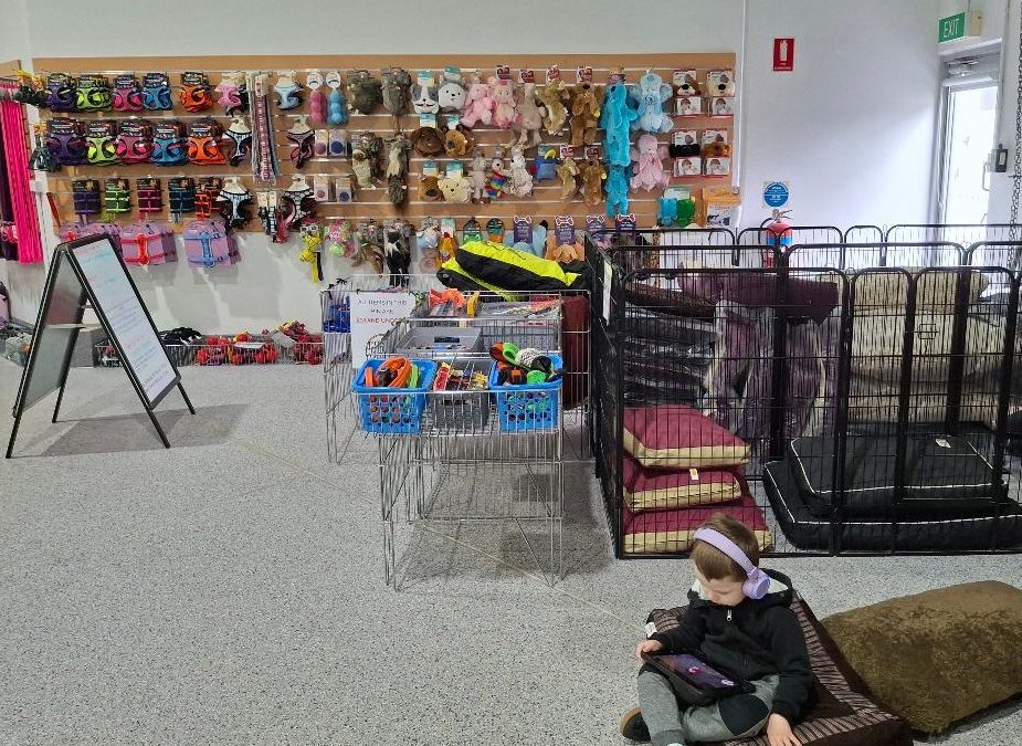 Dog Toys Galore.