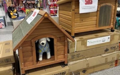 Winter is Here……1/2 Price – Timber Kennels. UNTIL SOLD OUT. NOW ONLY $84.95 to $124.95. SCROLL TO BOTTOM OF PAGE FOR MORE SPECIALS…..