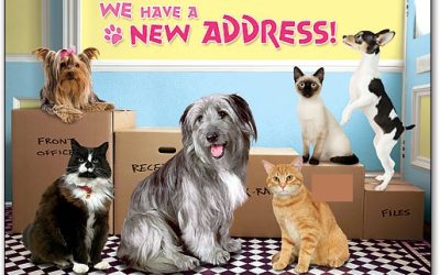 WE ARE MOVING TO A NEW PREMISES ON 16 JULY. We NOW have Plenty of In store Specials on Kennels, Flea Free Beds, Mats, Dog Cushions & More