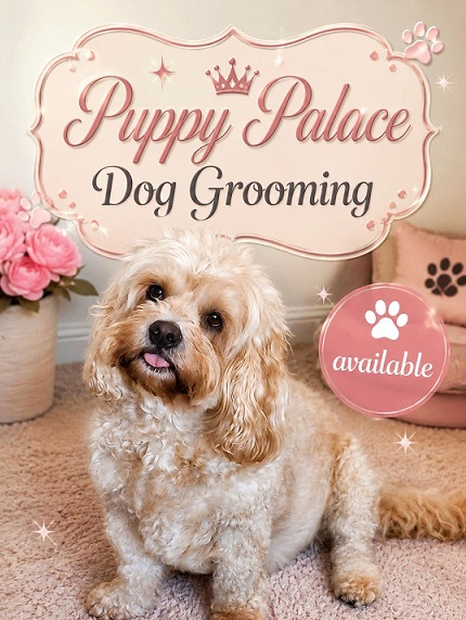 Basic Dog Grooming In Store Now – Mondays & Tuesdays – 9.30 to 4pm. By Appointment Only.
