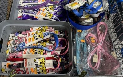 Leads from just $2.95.. We have Just moved to our new premises so we are clearing some Soft Bedding, Collars, Leads & Toys