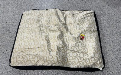 NOW  $24.95 MEDIUM & $29.95 LARGE….Just moved to our new premises so we are clearing some Soft Bedding, Collars, Leads & Toys 