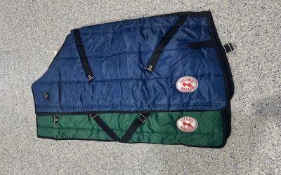 ALL Sizes Just $19.95 (Were upto $39.95) – Thermo Master Prestigue Dog Coats. Sizes 32″ (Fits Small horse or Large Dog) down to 12″ (Fits a Cavoodle or Shih Tzu) – Green & Blue