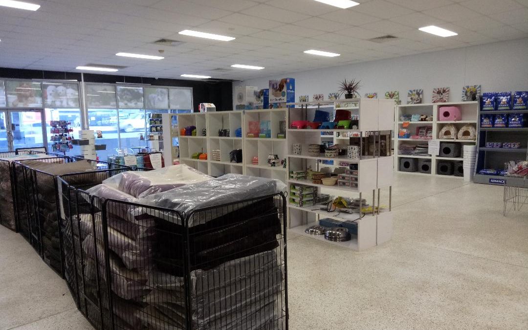 Discover Top Pet Accessories in Brisbane at Puppy Palace