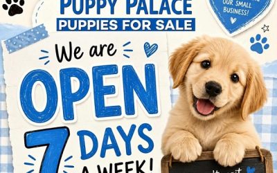 PUPPY PALACE PET SHOP IS OPEN 7 DAYS A WEEK. 9.30 am to 4 pm. Public Holidays 9.30 to 3 pm (Closed Christmas Day & Easter Friday)